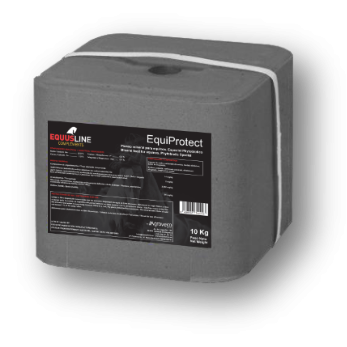 50300231.png